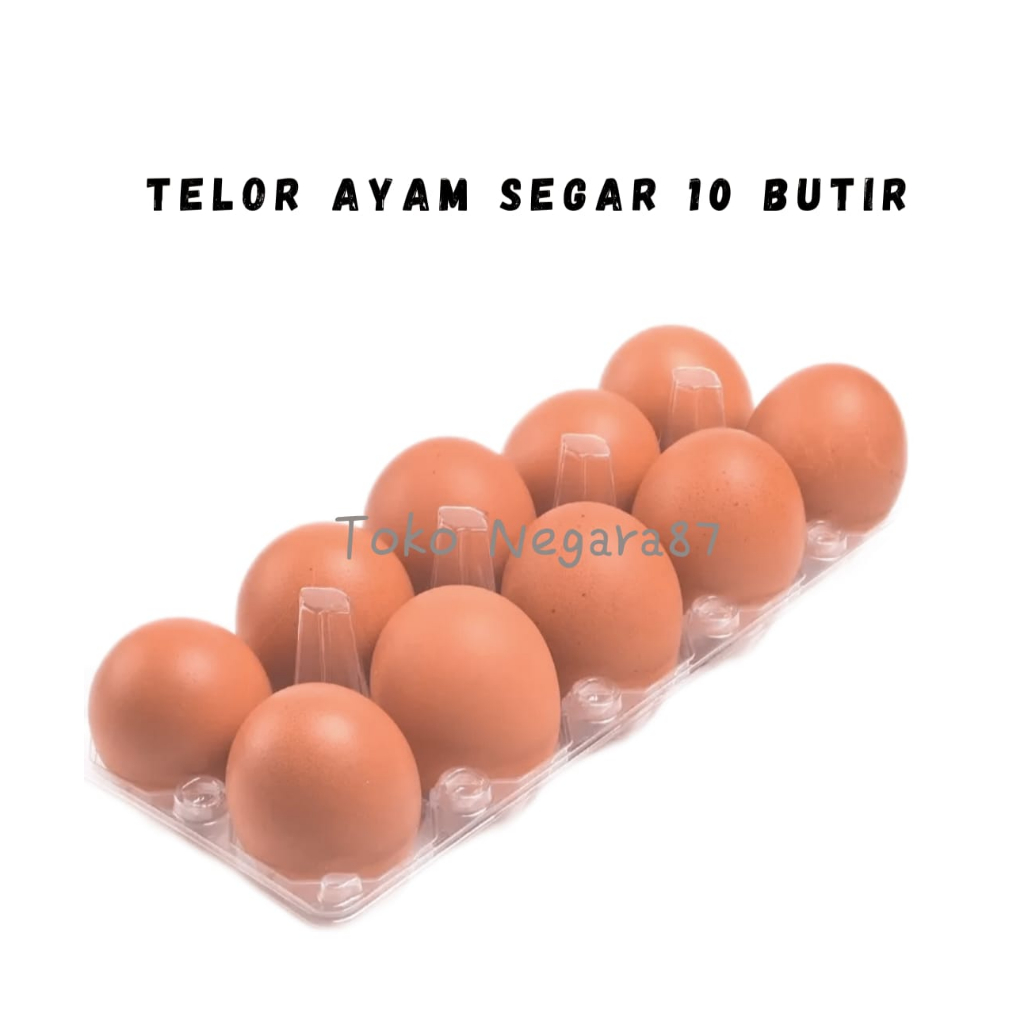 

Toko negara87- Telur ayam segar 10 butir telor ayam berkualitas