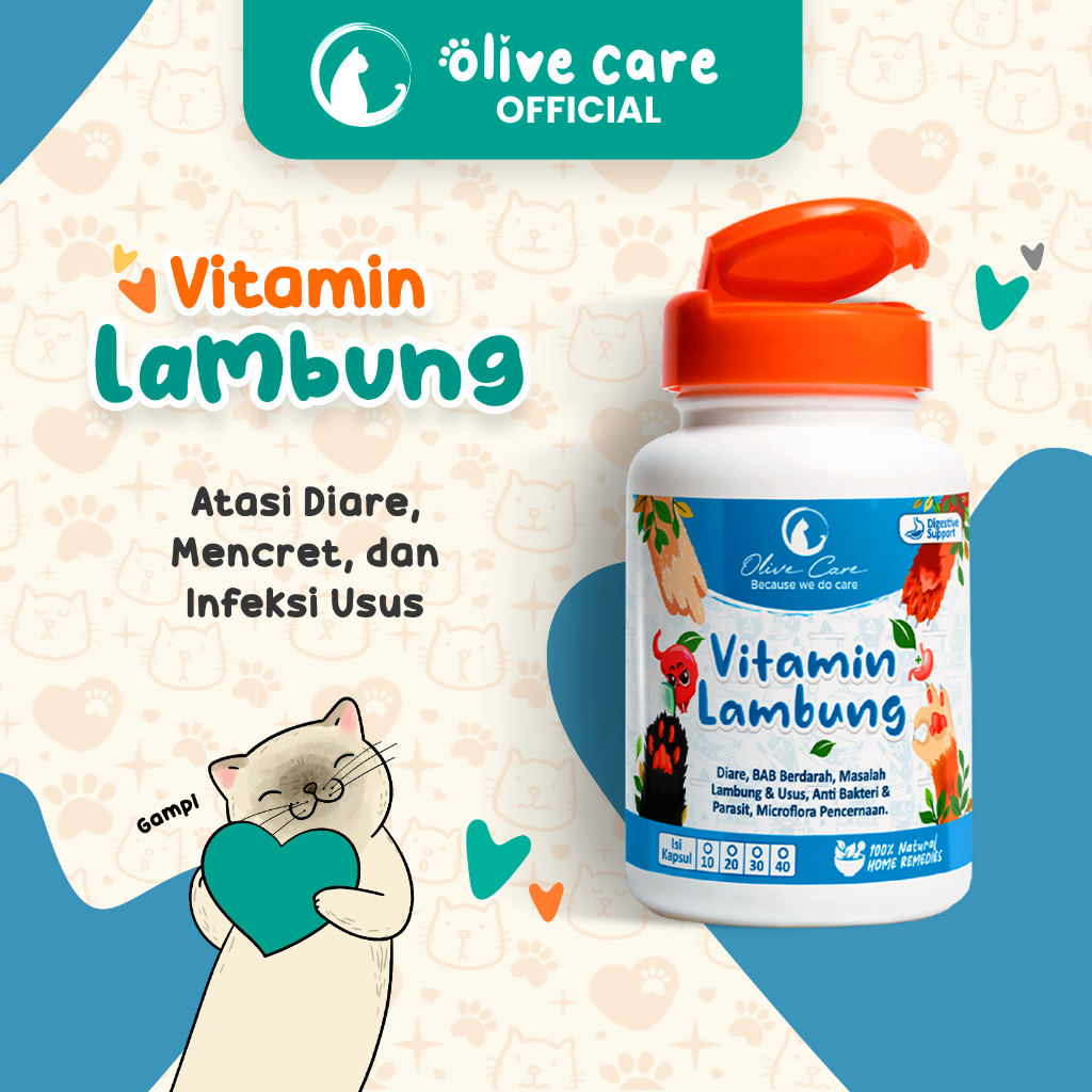 Olive Care Vitamin Kucing MASALAH PENCERNAAN untuk Diare, Mencret, Pup Berdarah dan Radang Usus