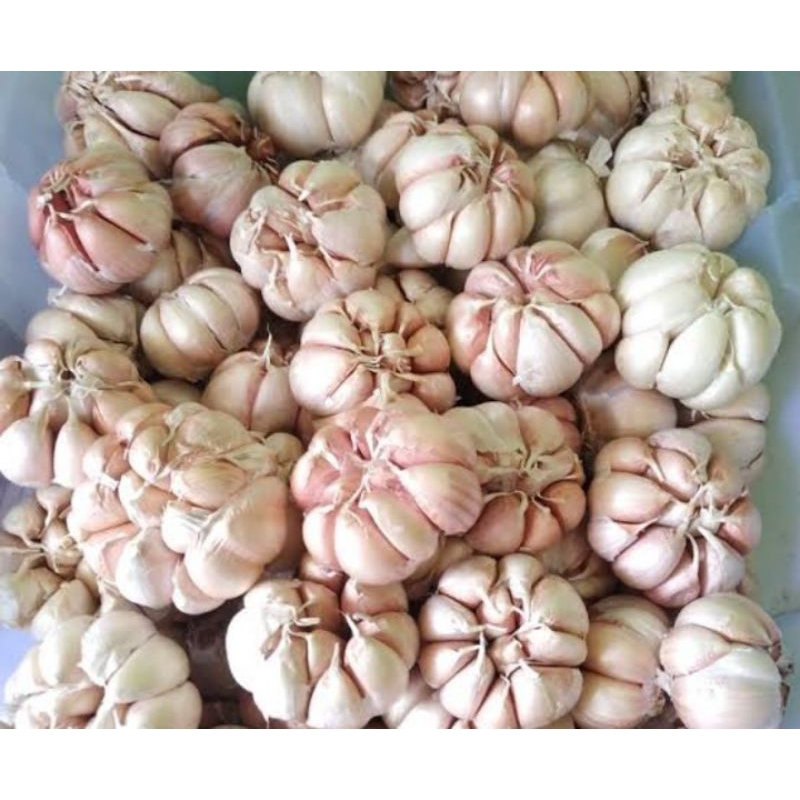 

BAWANG PUTIH DISKON 50% SAAT LIVE