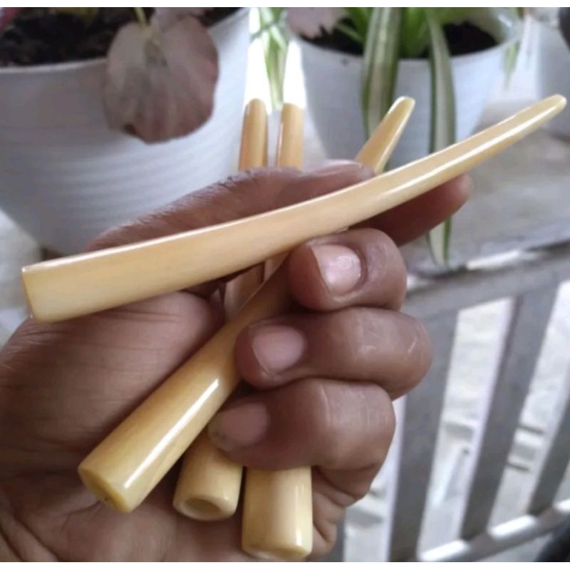 once tulang sapi kuning mirip gading/once tulang sapi super/once murah