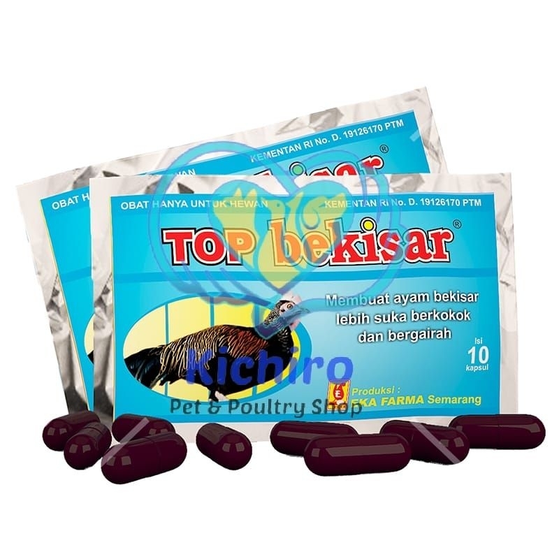 Top Bekisar isi 10 kapsul Vitamin Ayam Bekisar, Ayam Ketawa, Ayam Pelung dan Ayam Hutan Eka Farma
