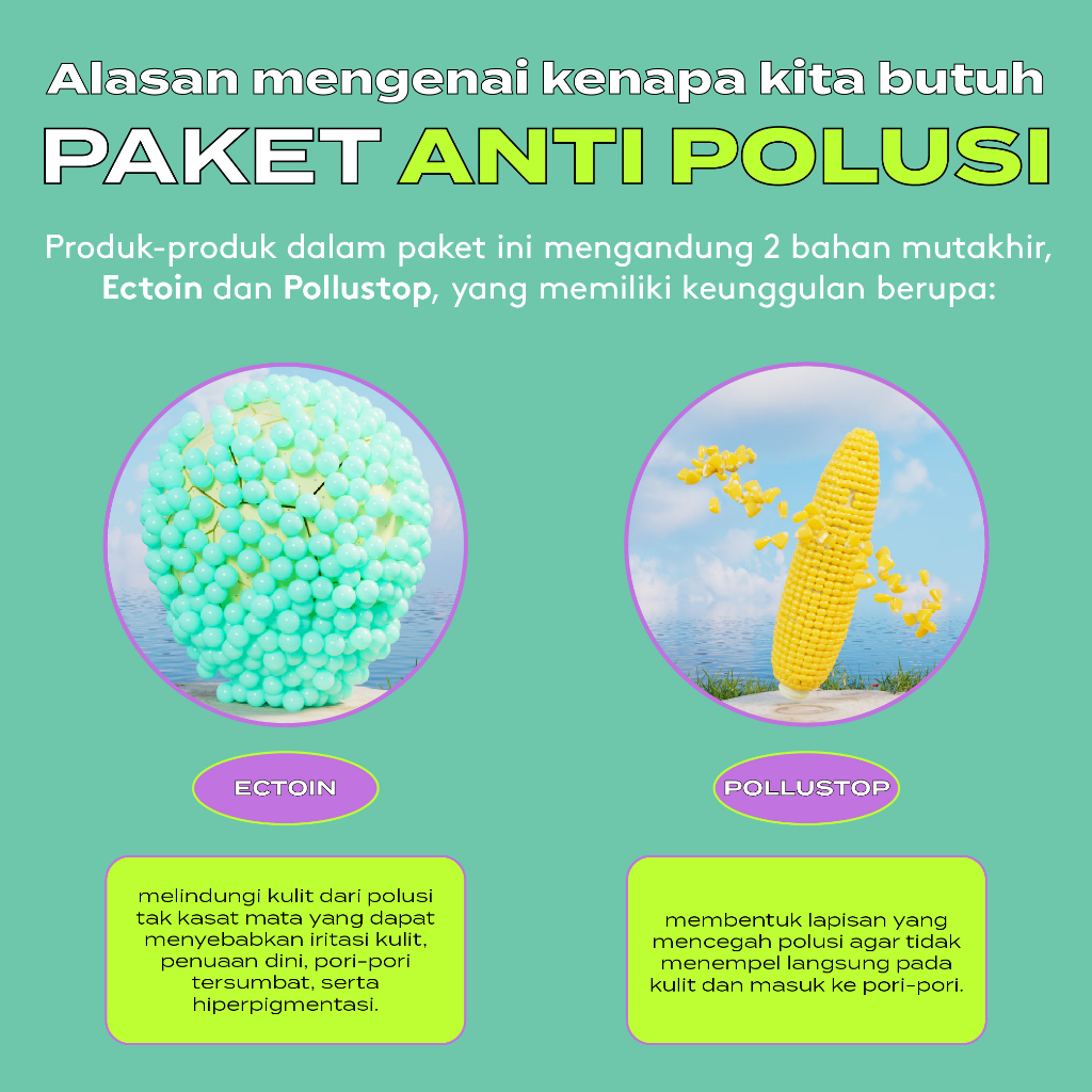 Paket ANTI POLUSI dan Anti Kusam