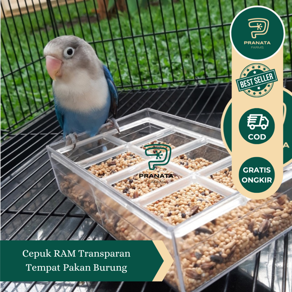 Cepuk Ram Transparan Wadah Tempat Pakan Makanan Minum Burung Sangkar Lovebird Parkit