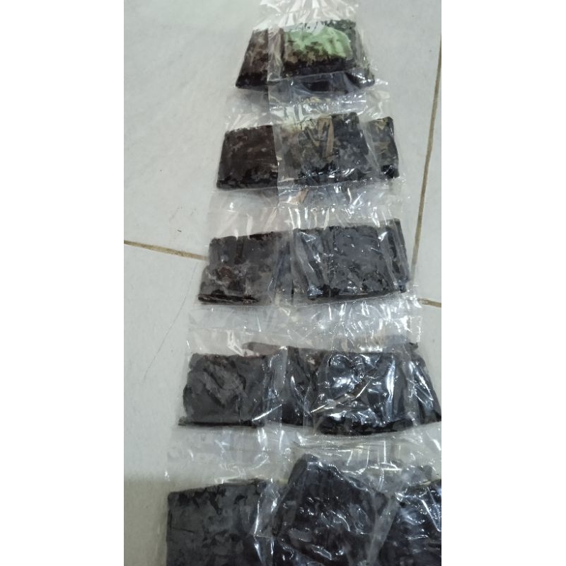 

Asem jawa termurah(cod)| Asam jawa rentengan
