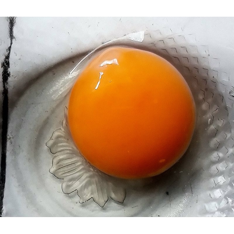 

Telur Bebek Mentah Tawar