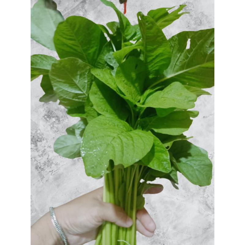 

bayam/kangkung/kacang panjang/buncis/kubis/sawi putih/daun ubi/daun katu