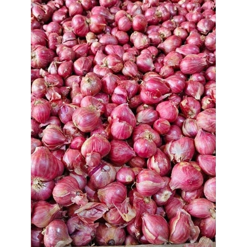 

BAWANG MERAH MURAH SUPER 1KG