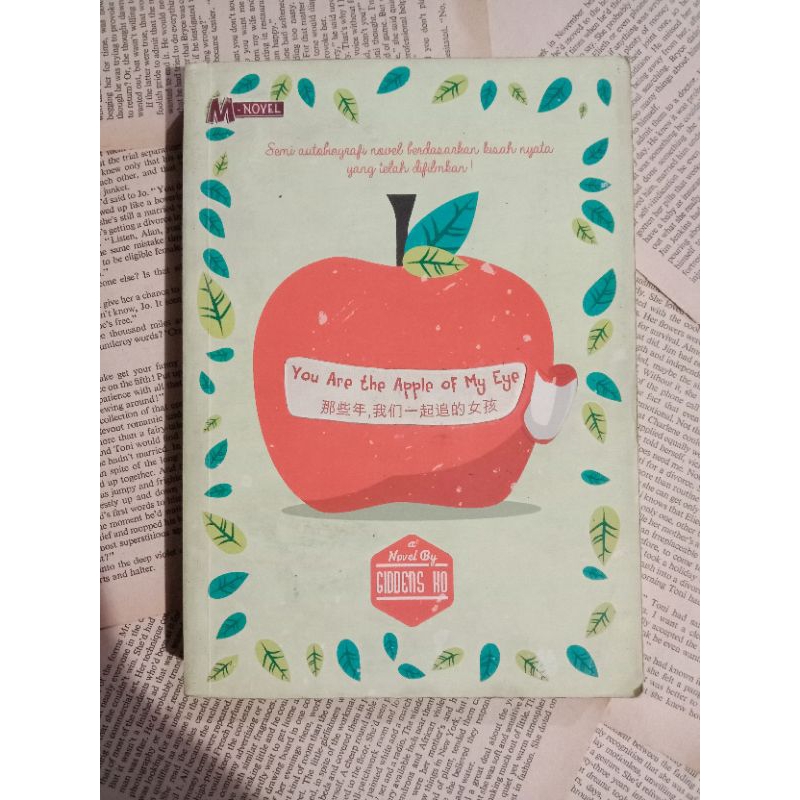 Novel You Are The Apple Of My Eye