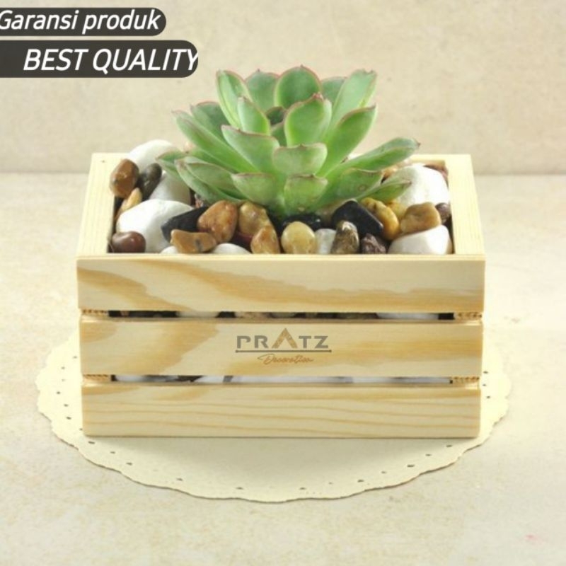 Pot Kayu Pot Kaktus Skulen Box Kayu Mini Jati Belanda