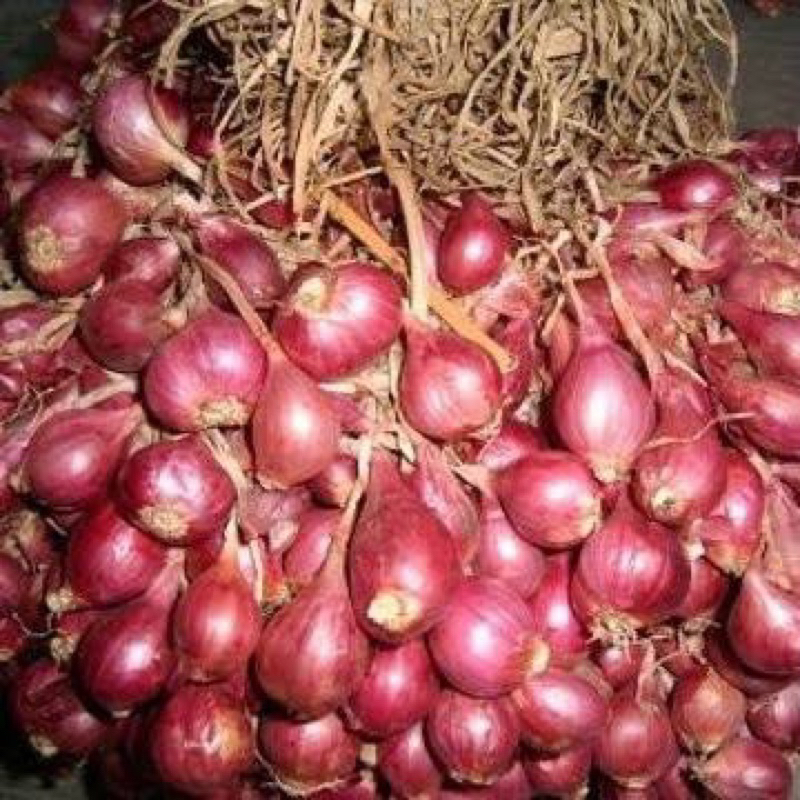 

Bawang Merah lokal kering super