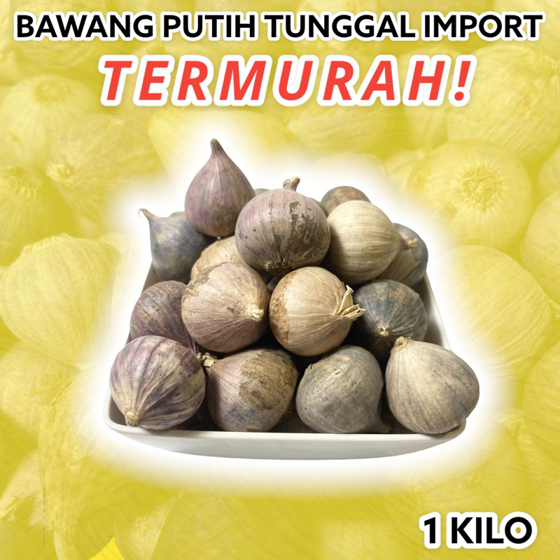 

Bawang Putih Tunggal 1kg 1 KG 1 kilogram 1000gr / Bawang Lanang Fresh 1kg 1kilogram/ Bawang Putih Lanang 1000gr Fresh Import Baru / Bawang Tunggal Kecil Sedang Besar Jumbo 1KGram Fresh Termurah Import