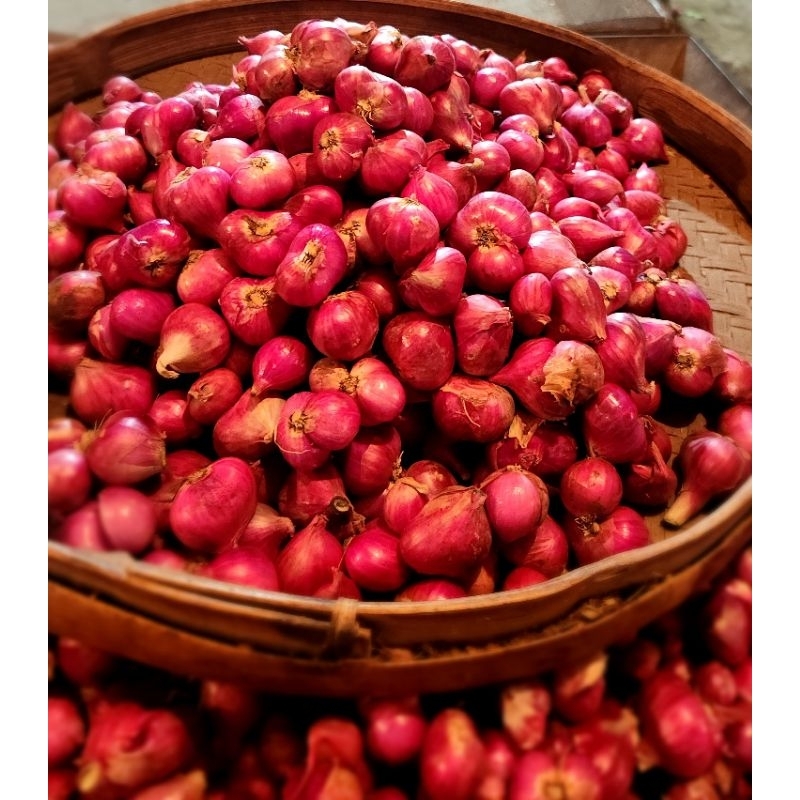 

bawang merah super probo 1Kg