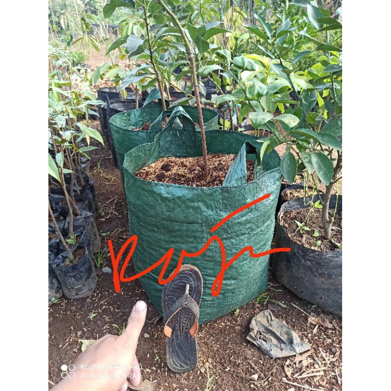 Planter bag 150 Liter warna Hijau polybag pot besar