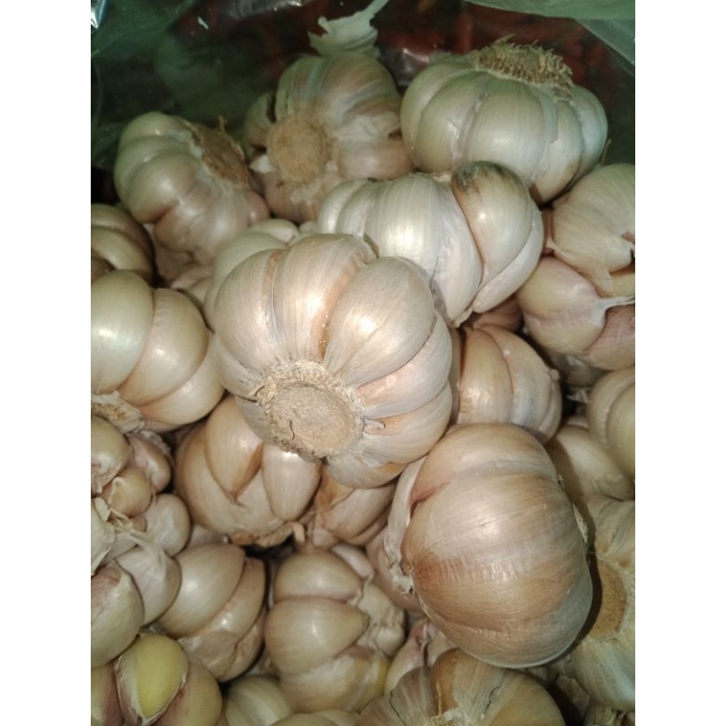 

Bawang putih 1kg