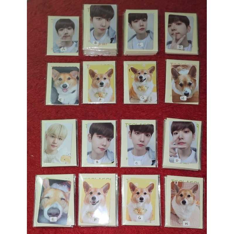 (READY STOCK) BAEKHYUN - TEOLAEGI RANDOM CARD (Unsealed mendapat 2 PC)