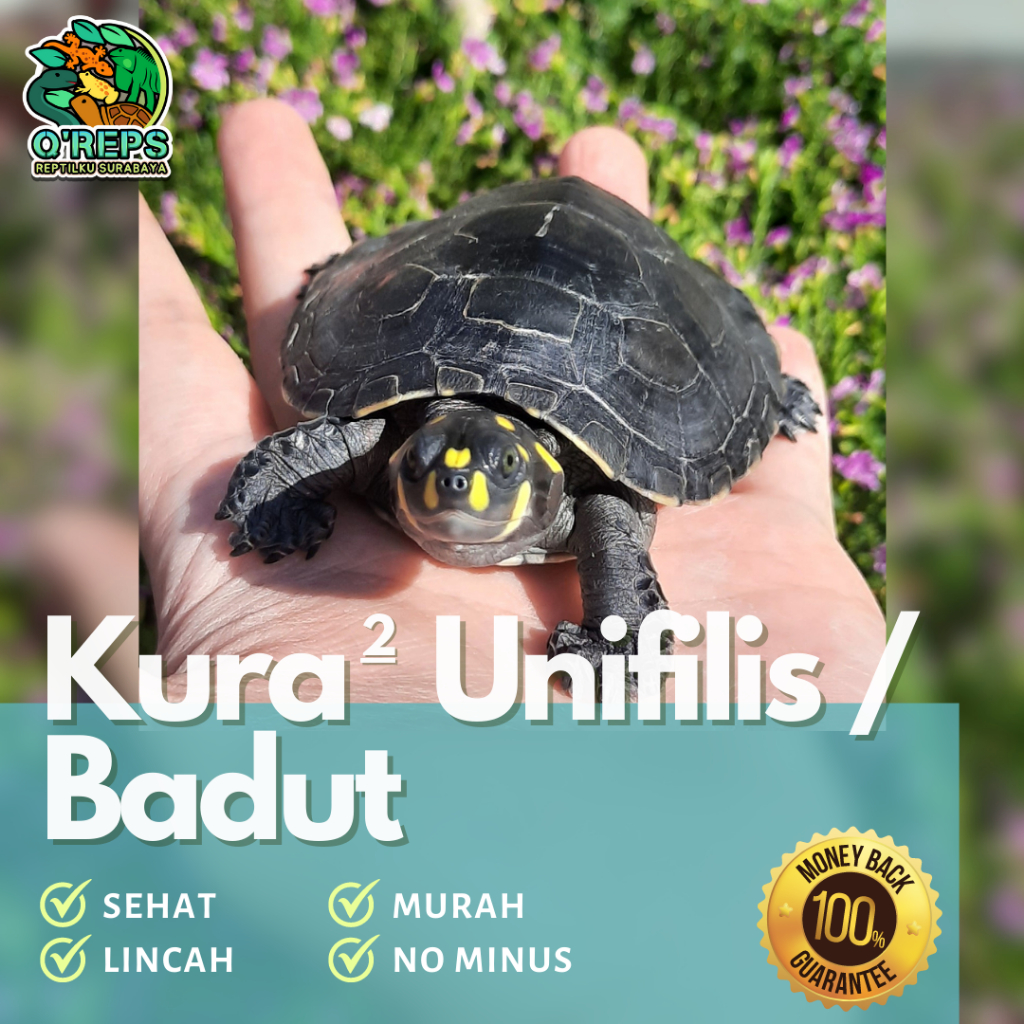 Replika patung unifilis / badut rakus lincah kuat no minus