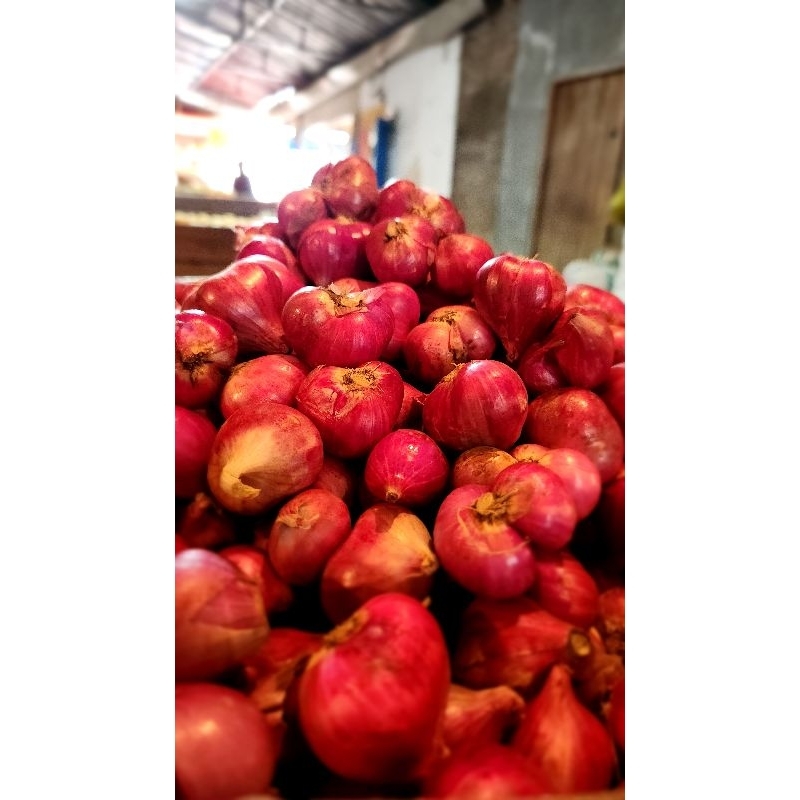 

bawang merah super probo 500gr