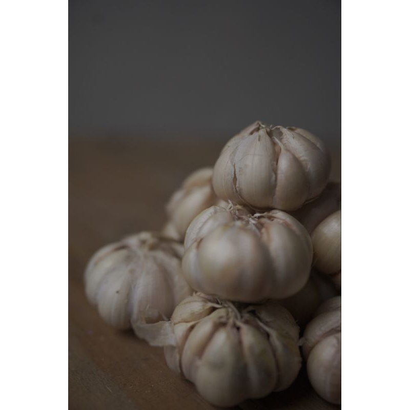 

Bawang putih 1kg