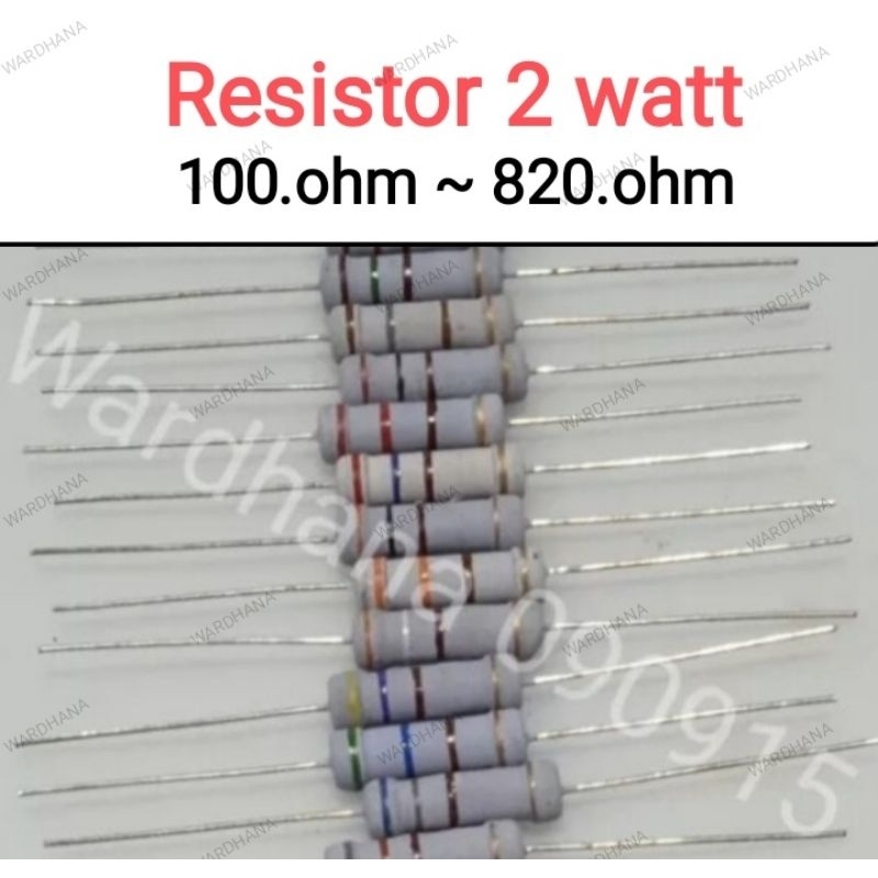 Resistor 100 ohm ~ 820 ohm 2 watt Resistor 2 watt