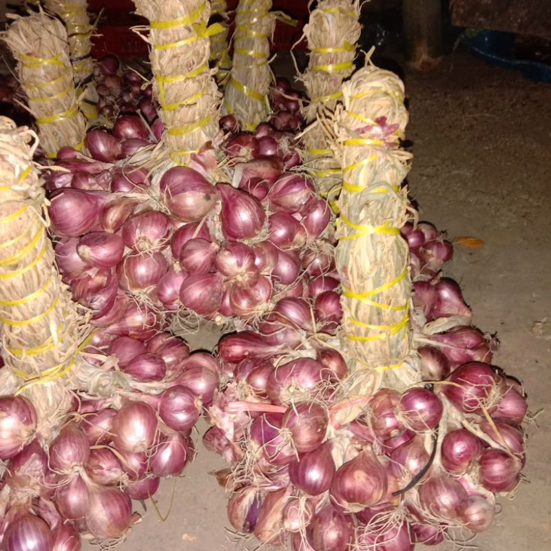 

bawang merah probolinggo/bawang untingan