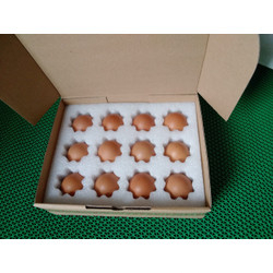 

PACKING PENGAMAN TELUR