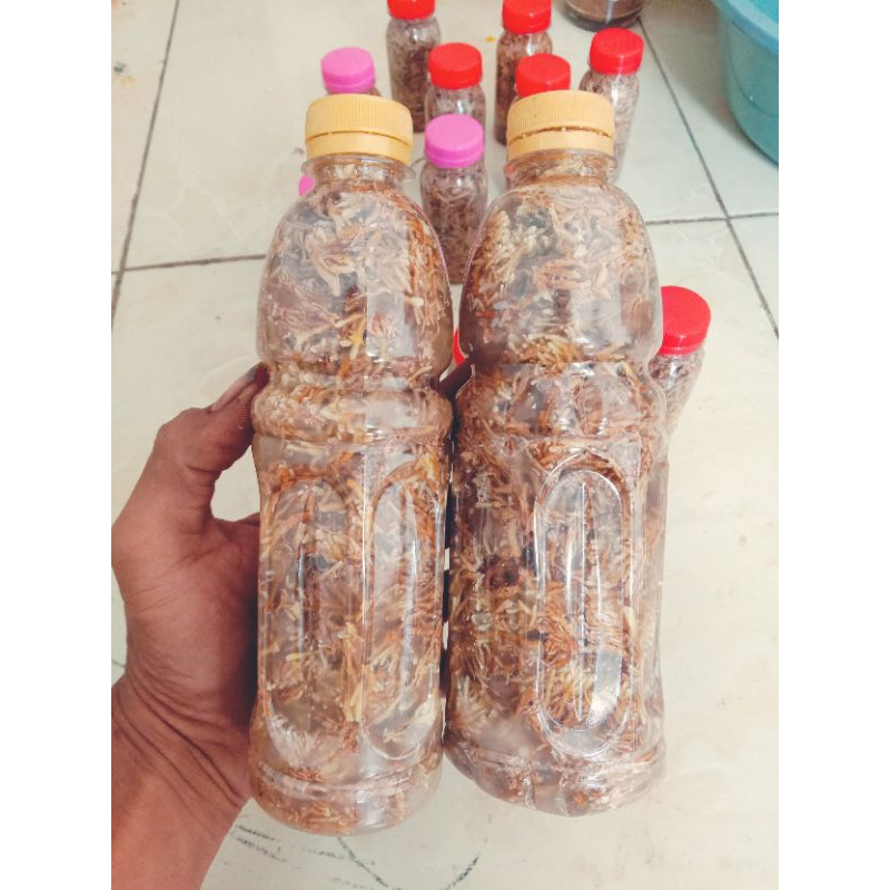 bibit biang jakaba 350ml isi full dan berkualitas mudah di kembangkan