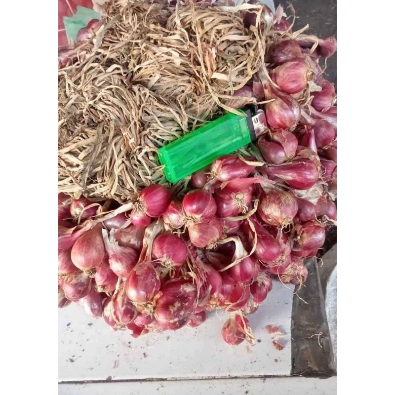 Bawang Merah asli Brebes langsung petani ( ASKIP )
