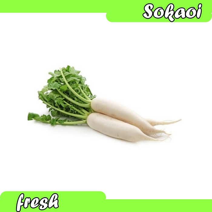 

SAYUR LOBAK PUTIH SEGAR LOBAK PUTIH FRESH