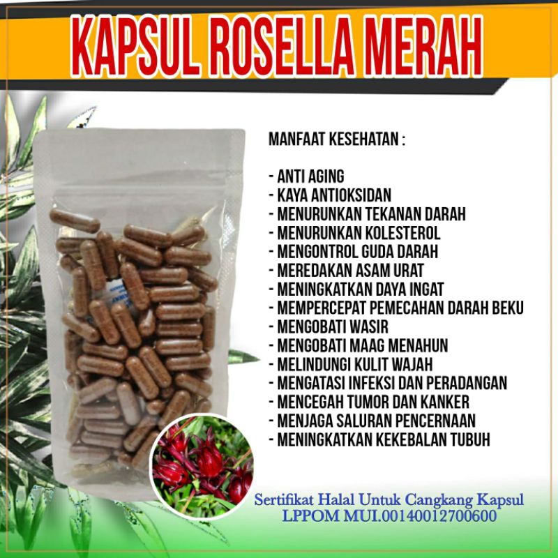 

Kapsul Rosella Merah Herbal Anti Aging dan Antioksidan isi 100 Kapsul