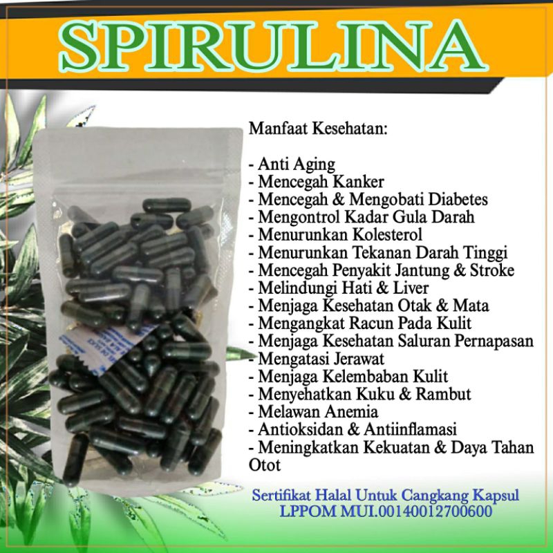 

Kapsul Spirulina Herbal Nutrisi Kulit dan Wajah isi 100 Kapsul