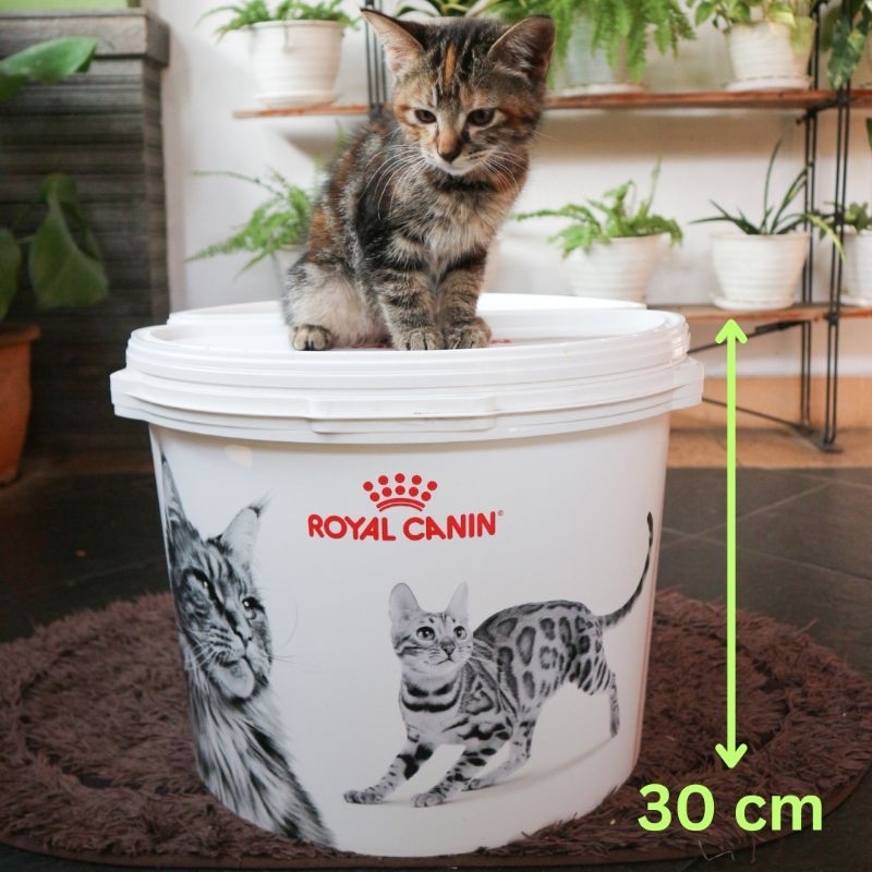 Halfmoon Container Box Royal Canin 2 KG 4 KG [ food container / box penyimpanan makanan kucing anjin