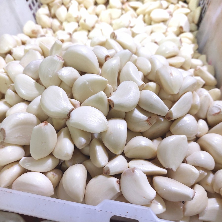 

Bawang Putih Kupas