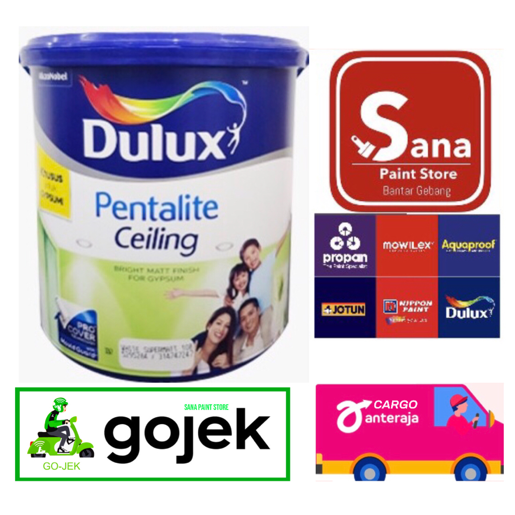 CAT PLAFON DULUX PENTALITE CEILING 5 KG