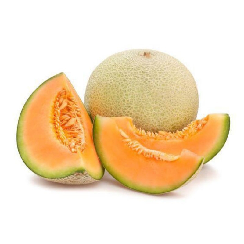 

READY MELON ROCK ±2-3 KG MELON ORANGE MELON MANIS MALANG MURAH GRATIS ONGKIR, READY MELON MALANG MURAH