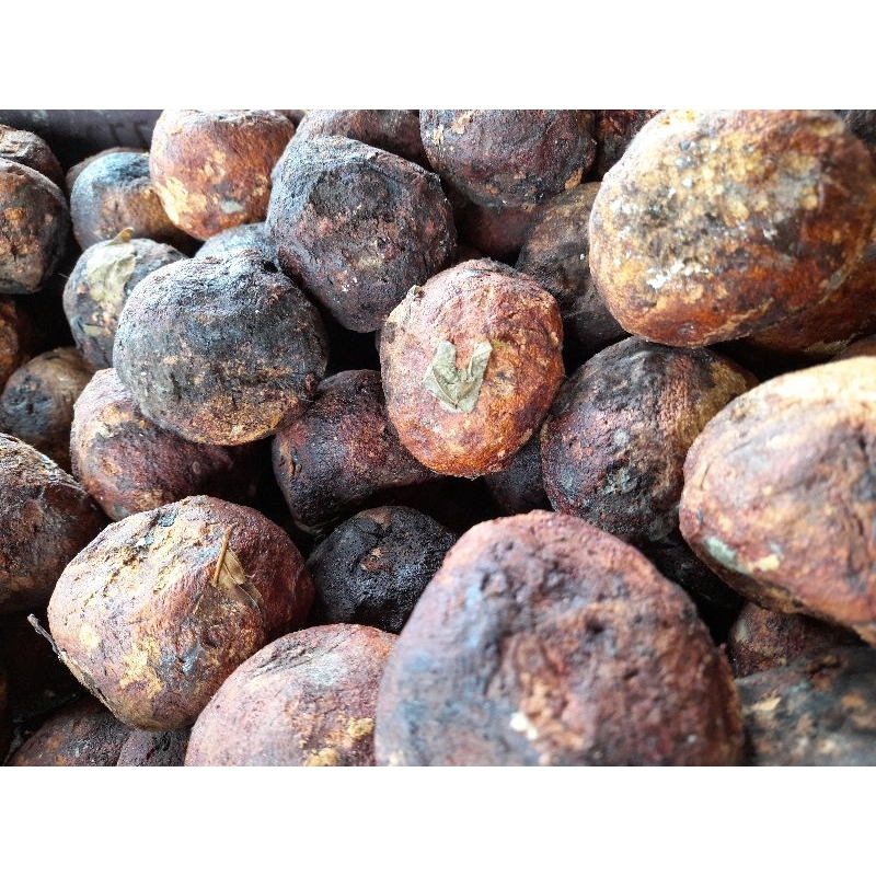 

Getah gambir asli 1 buah