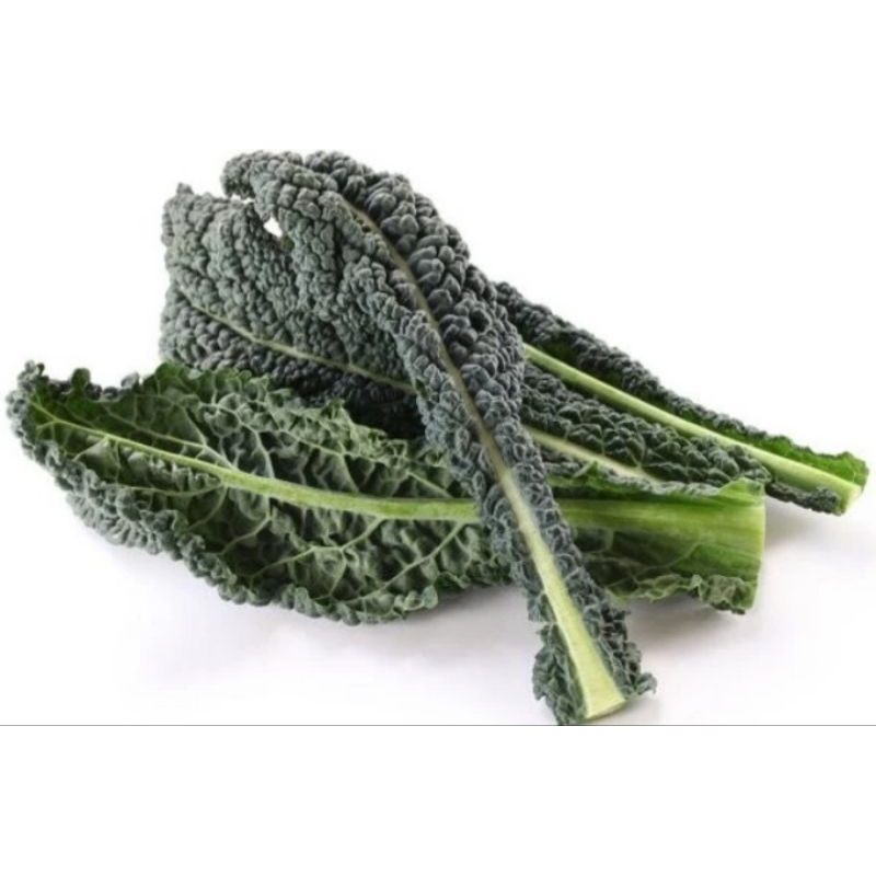 

Pay 2 Get 3 Kale Toscana Organik 100gr