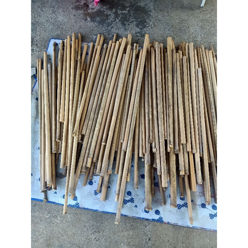 Bambu untuk membuat suling dangdut