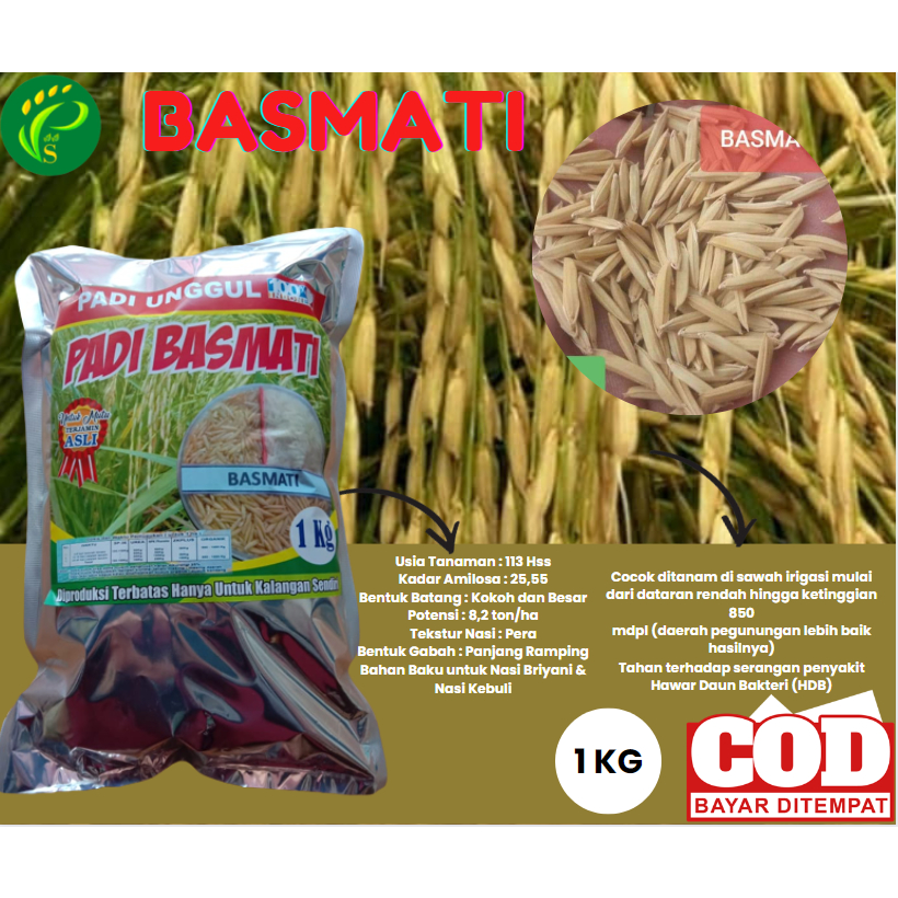Biji Padi Basmati 1kg (Basmati/Baroma 1121)