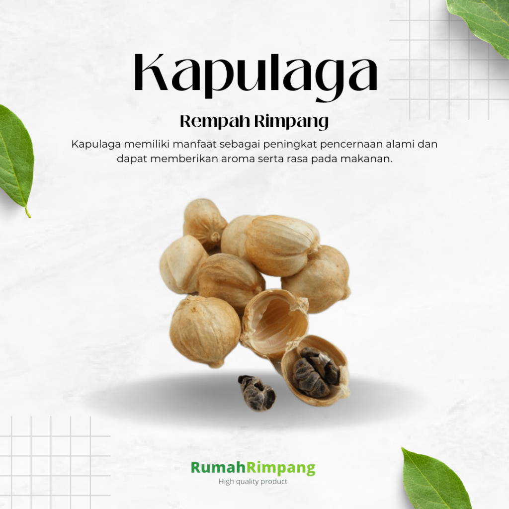 

[BISA INSTAN] JUAL RIMPANG SEHAT JSR - KAPULAGA KEMASAN 50 GR