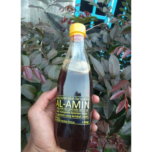 

AL AMIN" Madu Hutan Lebah Liar Sumatera