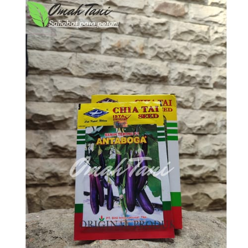 Bibit Benih Terong Ungu ANTABOGA F1
