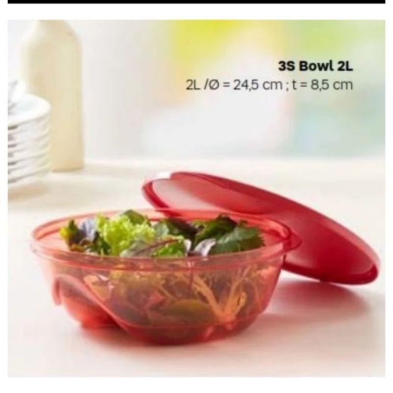 3s bowl 2 liter tupperware / activity tupperware