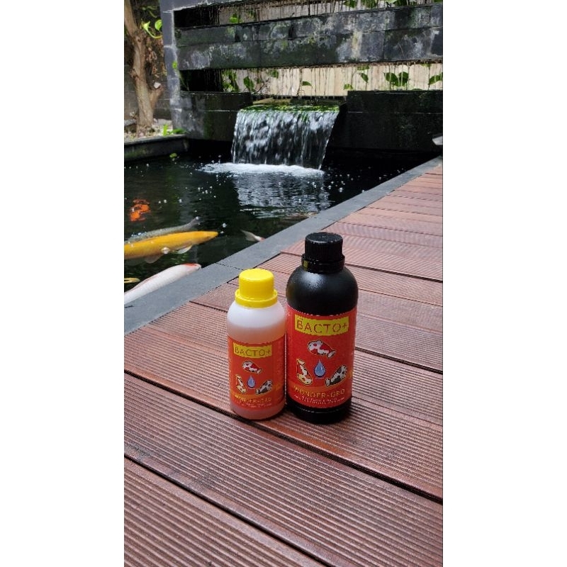 Bakteri starter BACTO+ kolam koi dan aquarium