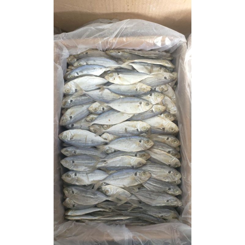 

Ikan asin selar kecil 500gram