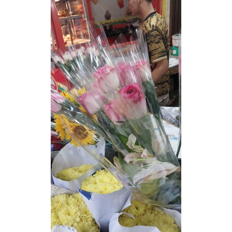 bunga mawar pink tua | mawar hidup | bunga potong