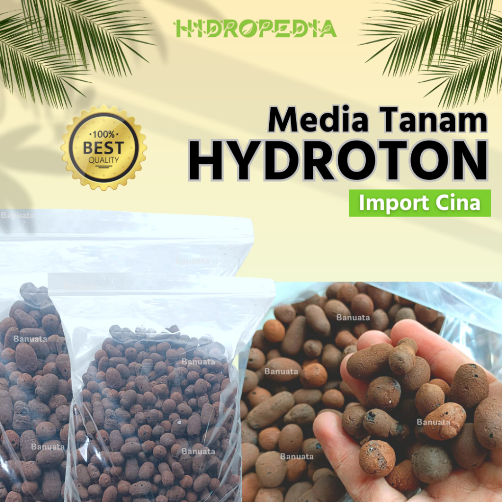 Hydroton Hidroton Import Cina Media Tanam 1 Kg Berkualitas Hidropedia