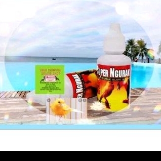 SUPER NGURAK OBAT VITAMIN PERONTOK BULU BURUNG NYULAM TUNTAS CEPAT