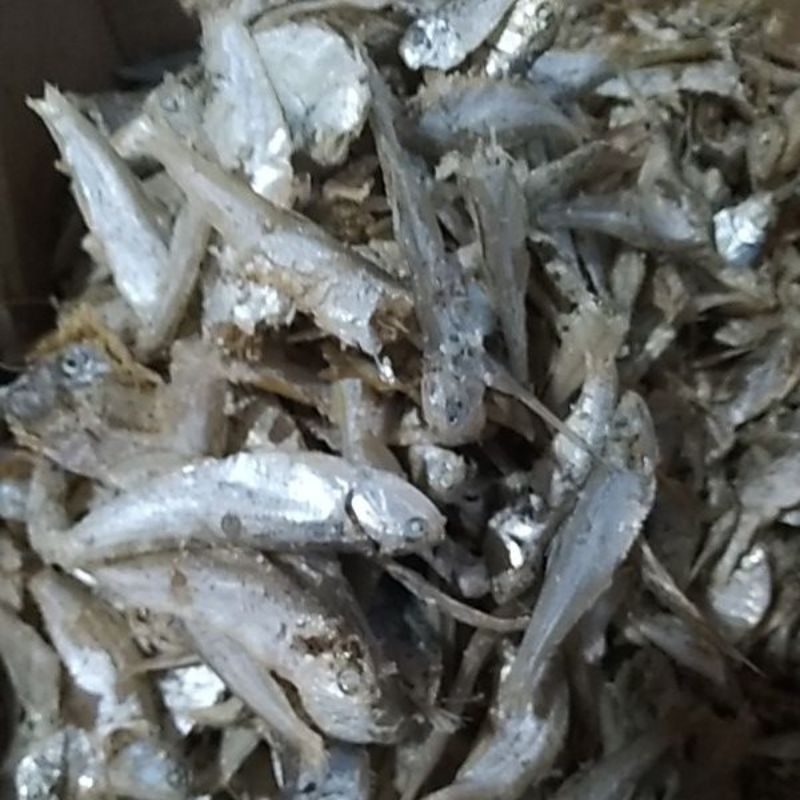 

Ikan asin campur kering