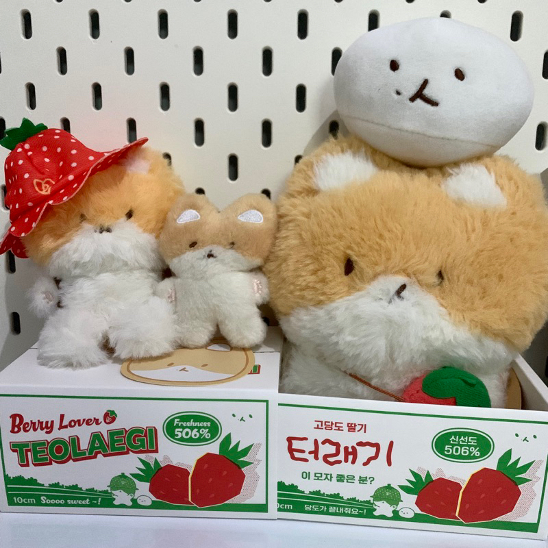 TEOLAEGI BAEKHYUN CHAPPSAL