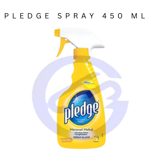Pledge Spray 450 ml